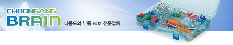 서브비쥬얼
