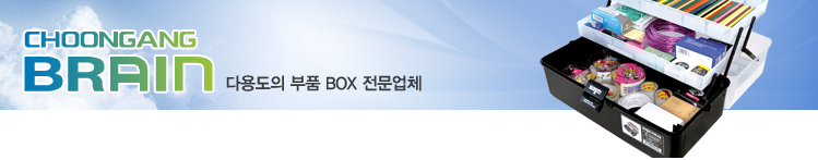서브비쥬얼